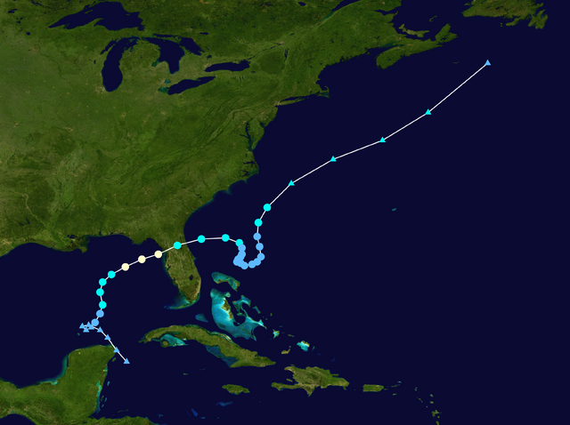 File:Bobby 2020 track.png