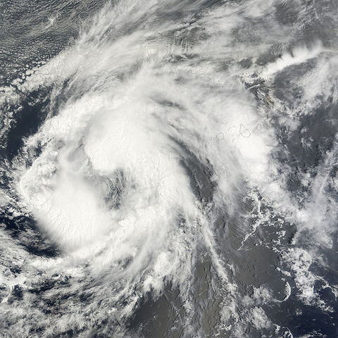 File:Jerry 1979.jpg