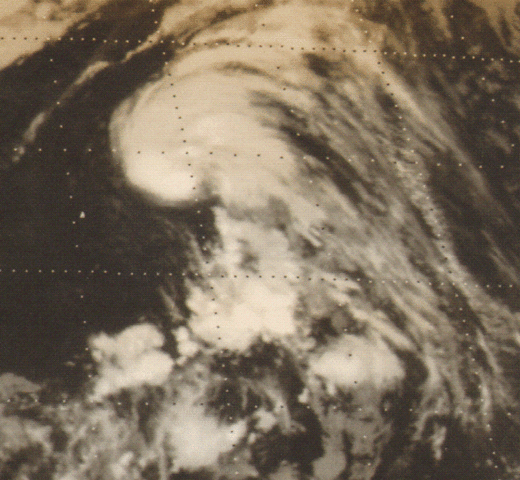 File:Dorothy1977sep280631z.gif