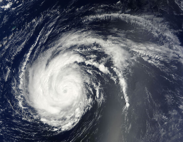 File:James 1981.jpg