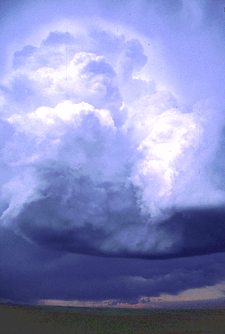 File:Falcon4.gif
