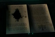 Midna's book