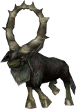 Elder goats