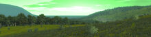 Kokiriforestbm