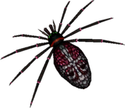 Skullwalltula