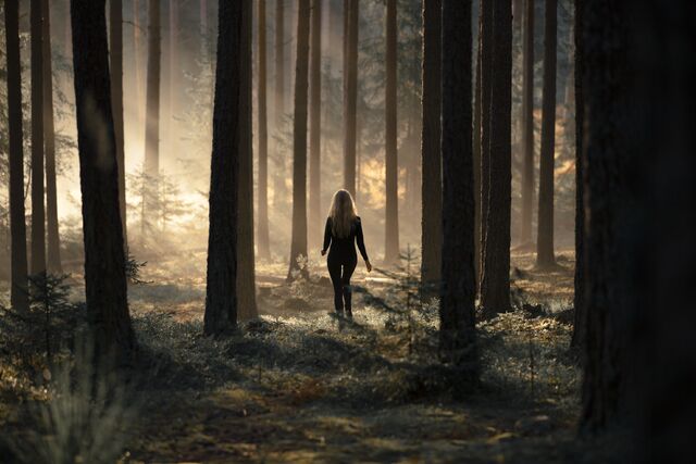File:Series 4; 1.jpg