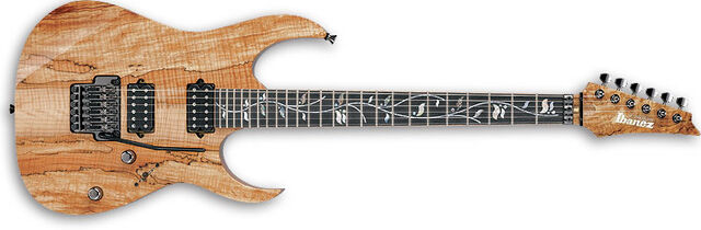 File:RG8620S NT.jpg