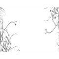 Thumbnail for version as of 21:25, January 23, 2011