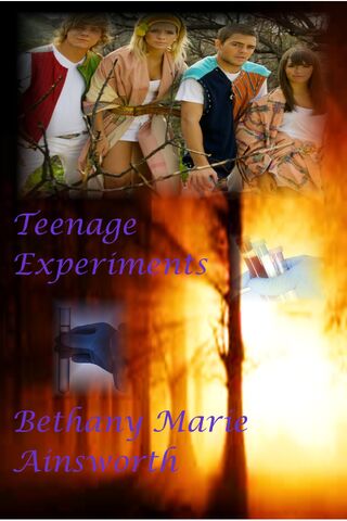 File:Bethexperiment3.jpg