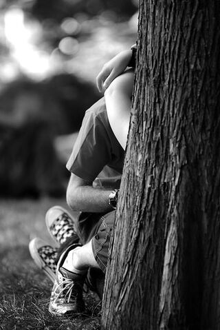 File:Couple,love,secret,kiss,tree,top,50-2b3d7e8c25966053fc9ad10cc50a65bc h.jpg