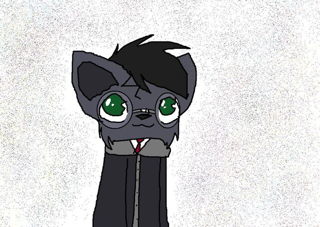 File:HarryPotterCats first picture.jpg
