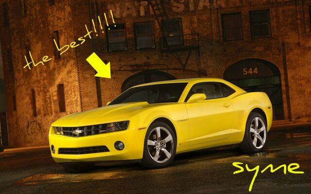 File:Bumblebee .jpg
