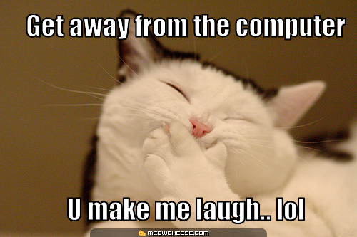 File:Laughing-cat.jpg