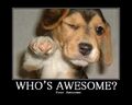 Thumbnail for version as of 10:06, June 28, 2011