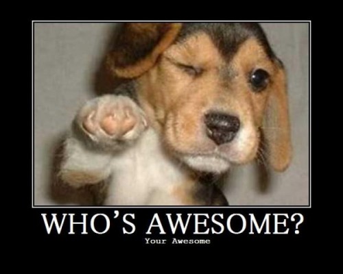 File:Whos-awesome-500x400.jpg
