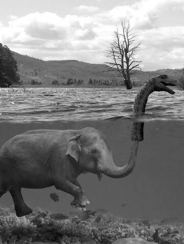 File:Elephants.jpg