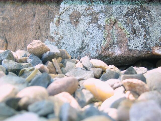File:My photography 004.jpg