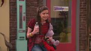 Stacey