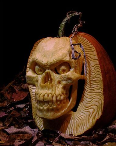 File:Pumpkin-2.jpg
