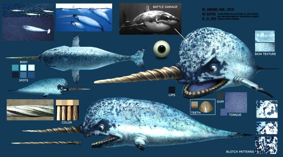 Narwhal | Ice Age Wiki | FANDOM powered by Wikia