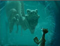 Thumbnail for version as of 22:39, March 29, 2011