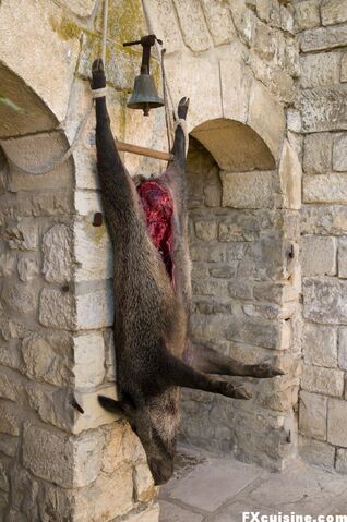 File:Spit-wild-boar-04.jpg