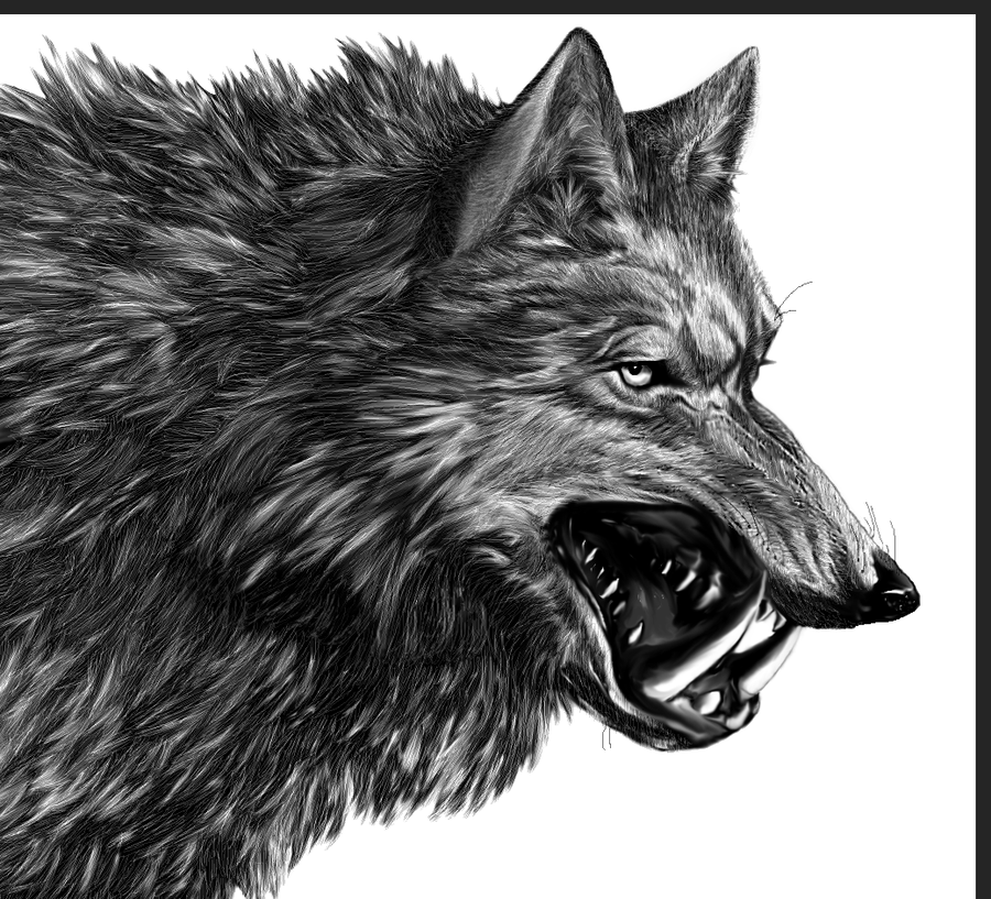 direwolf a song of ice and fire wiki fandom powered by direwolf a song of ice and fire wiki fandom powered by