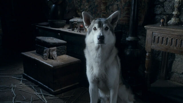 File:Nymeria.jpg