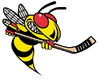 Langley Hornets