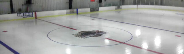 File:The Rink at Lehigh Valley.jpg