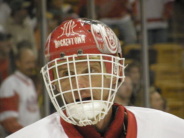 File:Dominik Hasek face.jpg