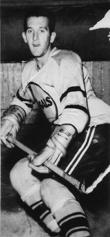 File:Raymanson.jpg