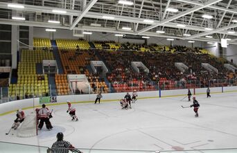 Steve Yzerman Arena