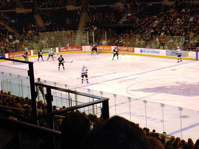File:Manitobamoosegame.jpg
