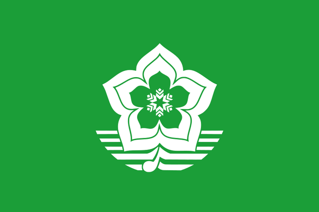 File:Harbin Flag.png