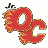 QCjrFlames logo