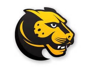 Wentworth Leopards logo