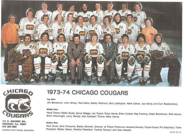 File:73-74ChiCou.jpg