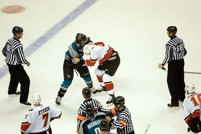File:Steve Bernier vs Brad Ference.jpg