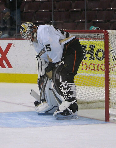 File:Jiggy-ducks2-cropped.jpg