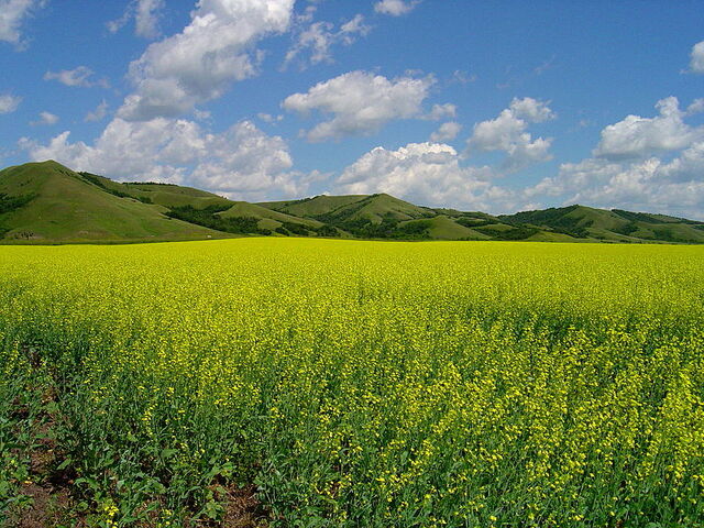 File:Esterhazy, Saskatchewan.jpg