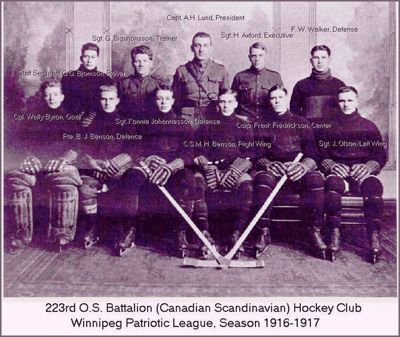 File:223rdbattalionteam.jpg