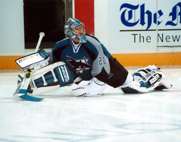 File:Evgeni Nabokov 2005a.jpg