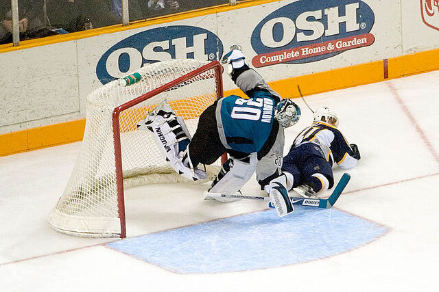 File:Evgeni Nabokov net crash.jpg