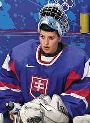 Tomcikova 2010