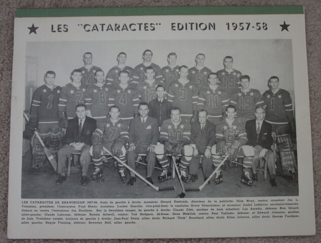 File:57-58ShaCat.jpg