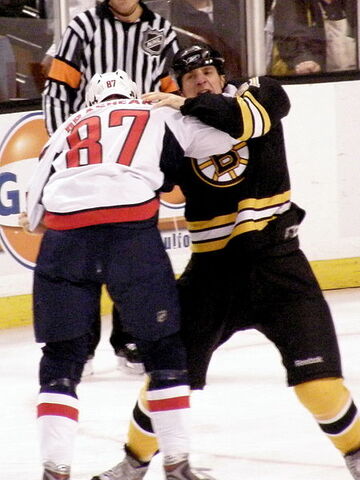 File:Donald Brashear and Byron Bitz fight.jpg