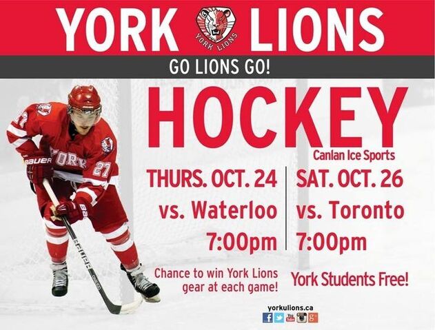 File:2013-14-york-ad.jpg