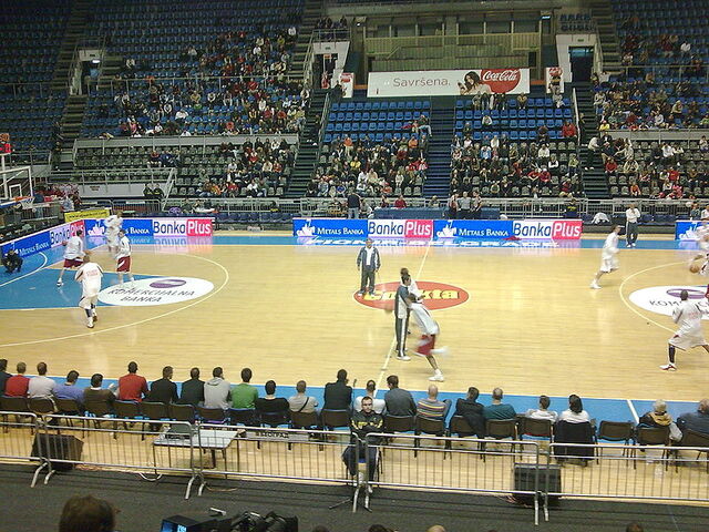 File:Pesic u Zvezdi.jpg