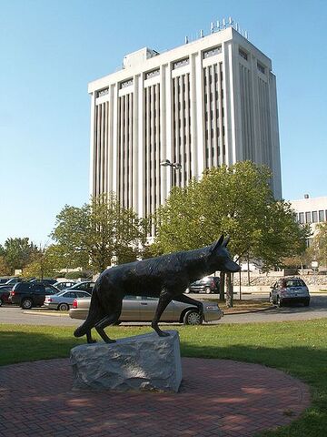 File:Hauppauge, New York.jpg